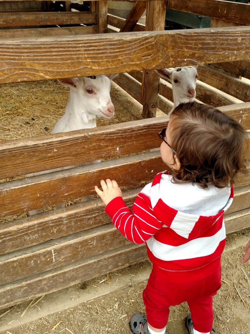 IMG_20160614_111011954