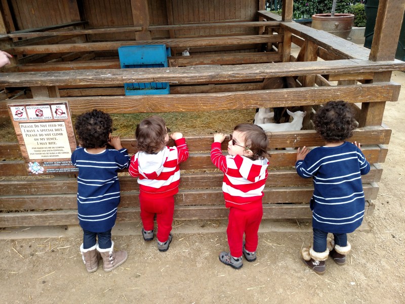 IMG_20160614_111113271