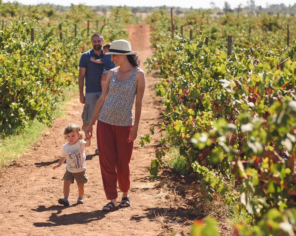 Foto de Damian Gonzalez