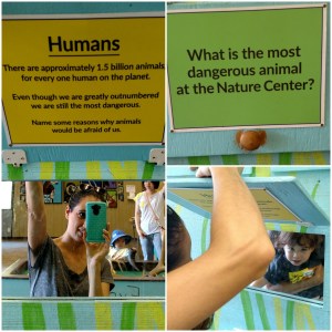 most-dangerous-animal