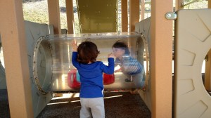 img_20161129_122552340