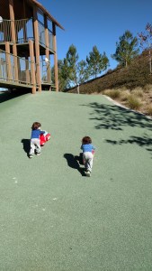 img_20161129_123145879