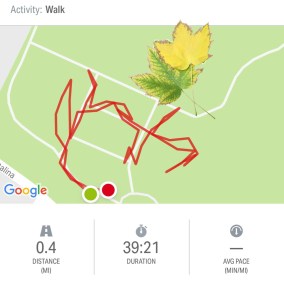 when-you-chase-toddlers