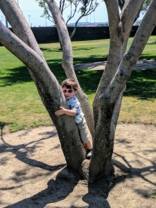 Kids rock playground (4)