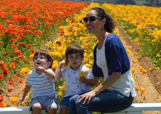 The Flower Fileds (8a)